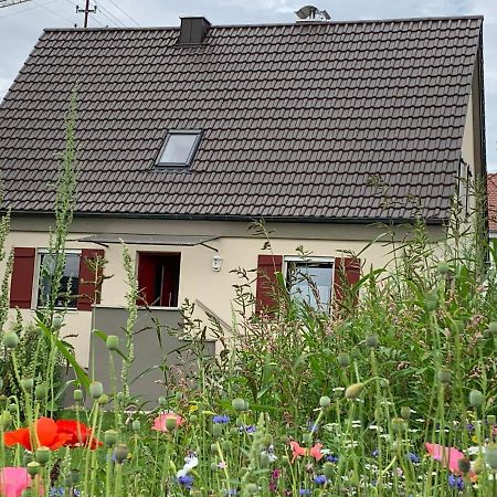 Veitriedhausen Ferienhaus Bei Lauingen, Mit Sauna Und Gartenlounge מראה חיצוני תמונה